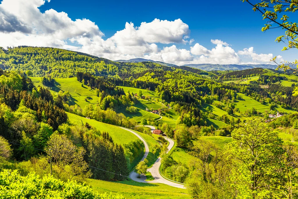 ongerepte natuur Zwarte Woud