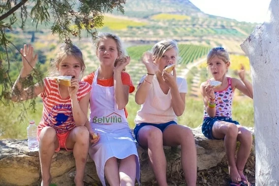 HR-52470-01_Oliva_buitenkeuken_barbecue_Istrië_Kroatië_Belvilla vakantiehuizen