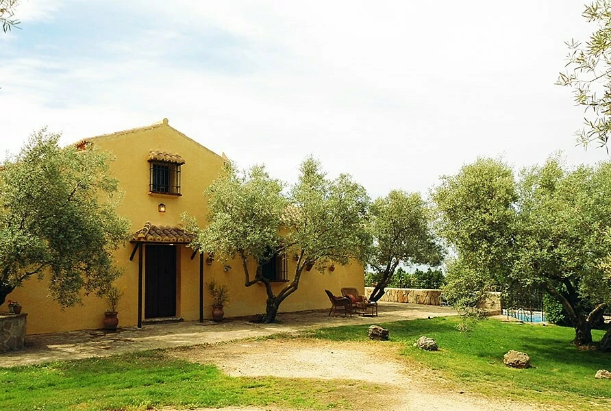 ES-29260-04_Cortijo Los Olivos_Spanje_Andalusië_olijven_vijgen_pruimen plukken_Belvilla vakantiehuizen