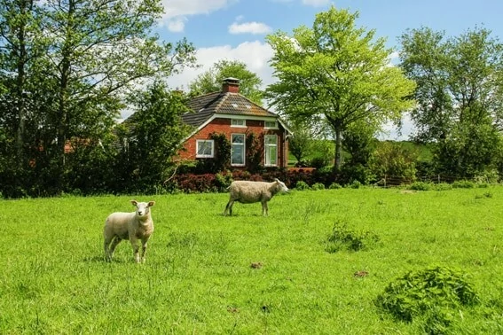 NL-1621-08_Pakhuis II_pakhuis_Hoorn_Noord-Holland_Belvilla vakantiehuizen