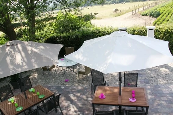 Even iets anders dan racen? Het biljart wacht op je in dit groepshuis! BE-4970-62_La Pole Position_biljart_Spa-Francorchamps_Belvilla vakantiehuizen