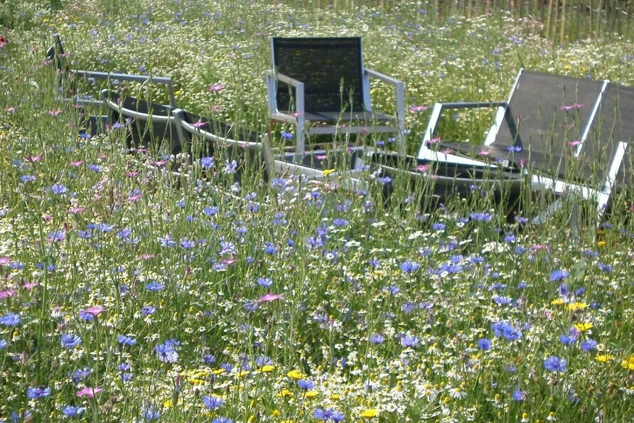 vakantiehuis Limone Toscane Italië kookworkshop expertcation escape to enrich reistrend 2015 Belvilla vakantiehuizen