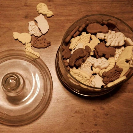 Overijssel uitzicht vakantiehuis De Merel Belvilla vakantiehuizen