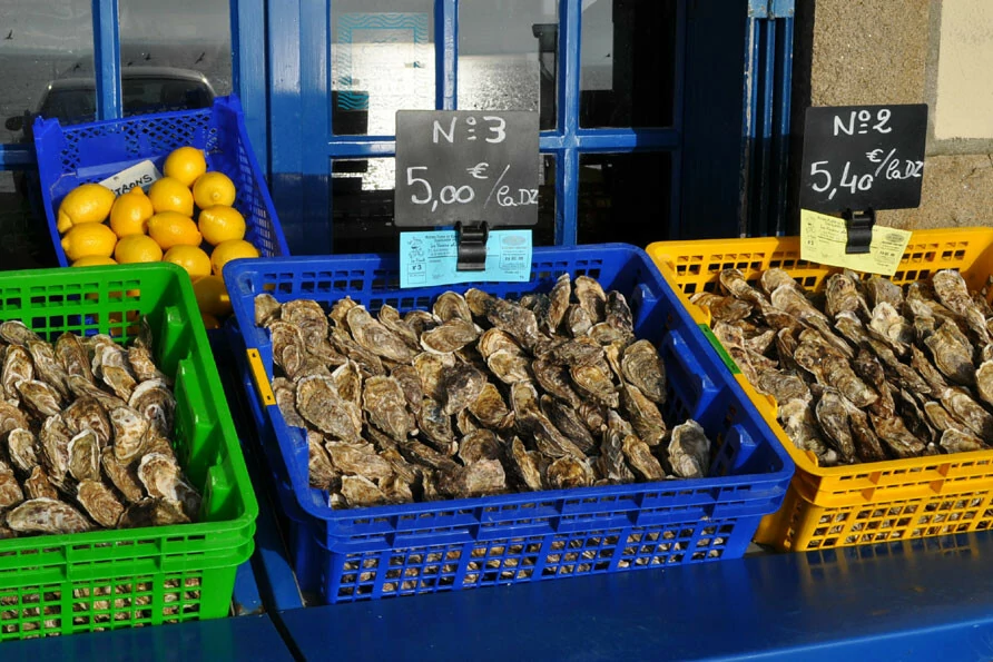 gezinsvakantie Bretagne Mont Saint-Michel Belvilla vakantiehuizen