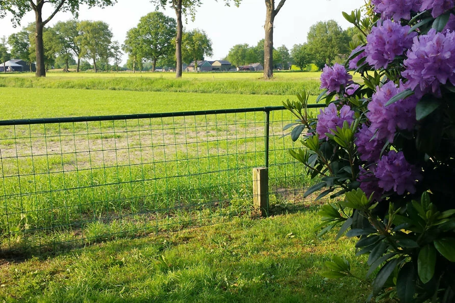 Overijssel uitzicht vakantiehuis De Merel Belvilla vakantiehuizen