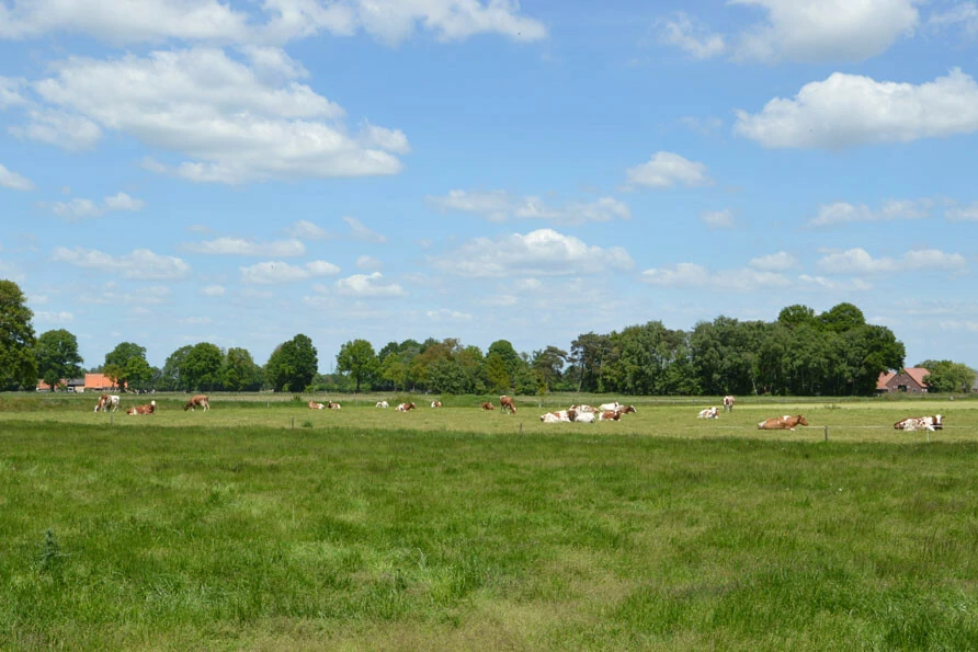 Overijssel uitzicht vakantiehuis De Merel Belvilla vakantiehuizen