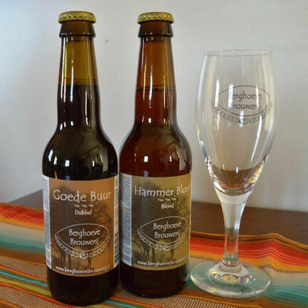 Overijssel uitzicht vakantiehuis De Merel Belvilla vakantiehuizen