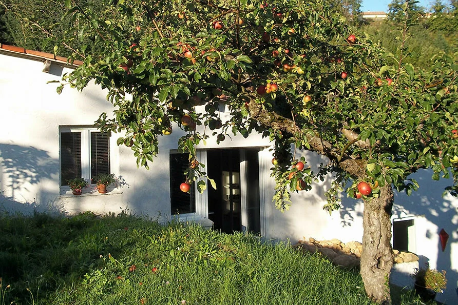Finca Lomas de Tienda Spanje Belvilla fruit vakantiehuizen