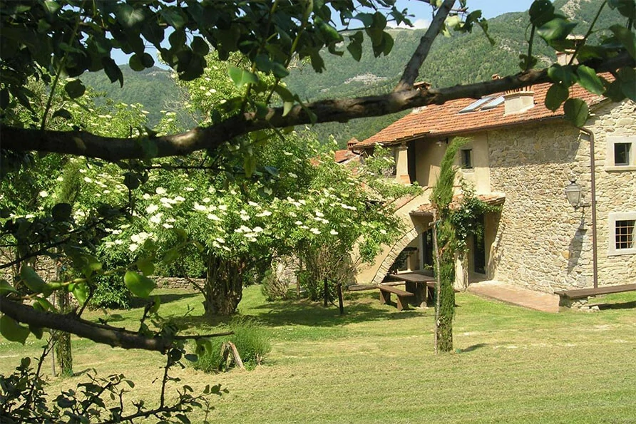 huisdiervriendelijk vakantiehuis Belvilla vakantiehuizen