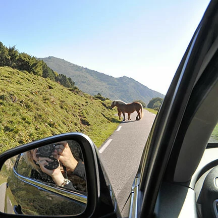 Petra Tamboer hek smeedwerk Zuid-Frankrijk Belvilla vakantiehuizen