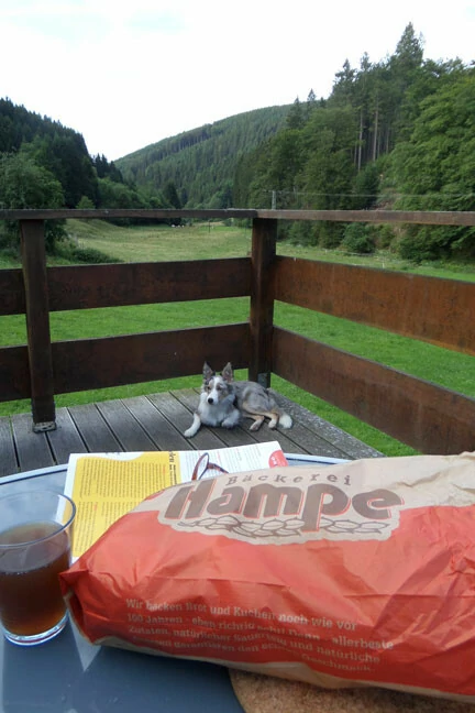 huisdiervriendelijk honden Hunstrück Belvilla vakantiehuizen