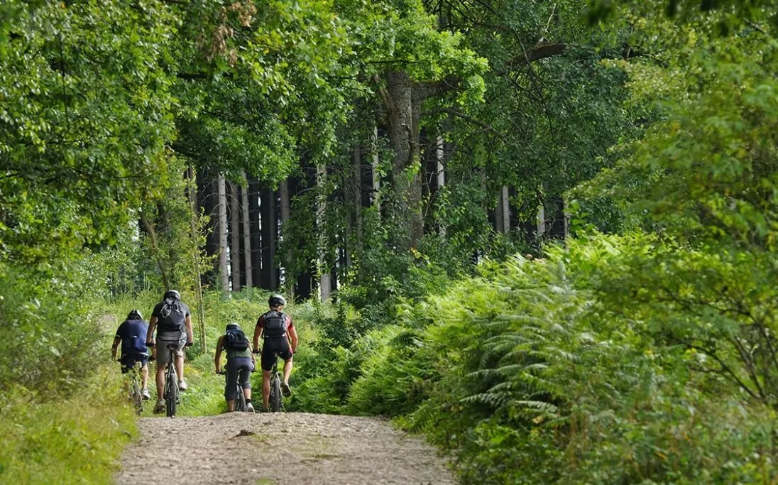Fietsen in de Ardennen