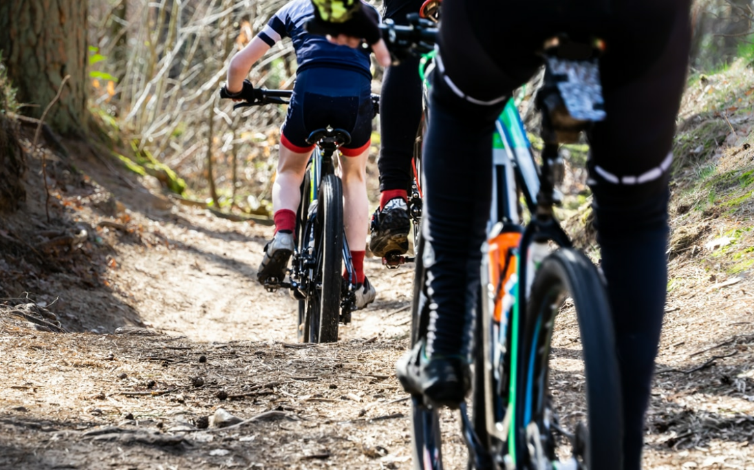 Vakantiehuis Noord-Brabant