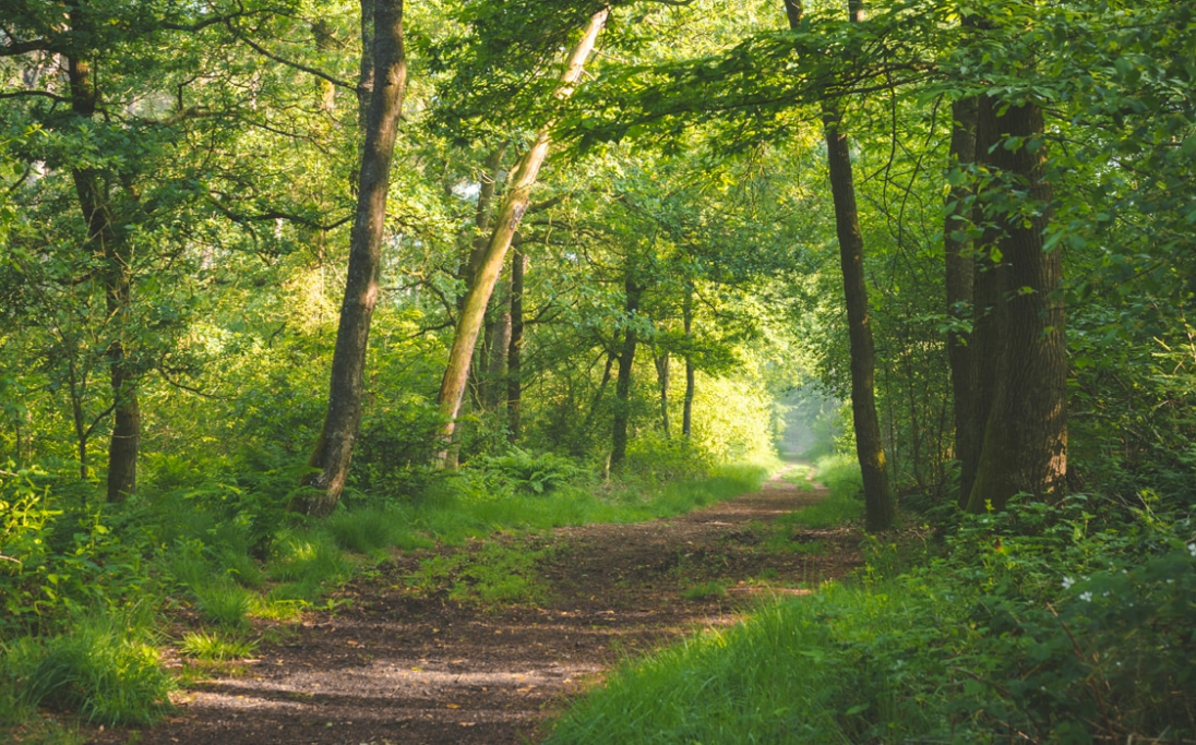 Vakantiehuis Noord-Brabant