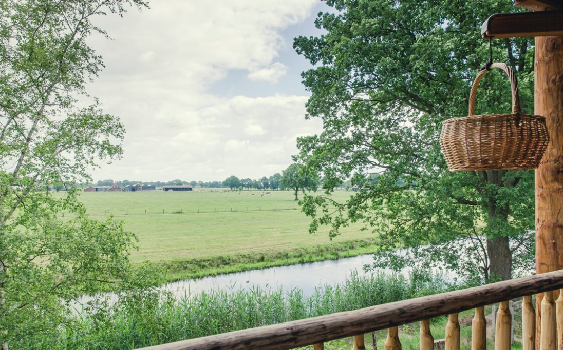 Boomhut Belvilla vakantiehuizen