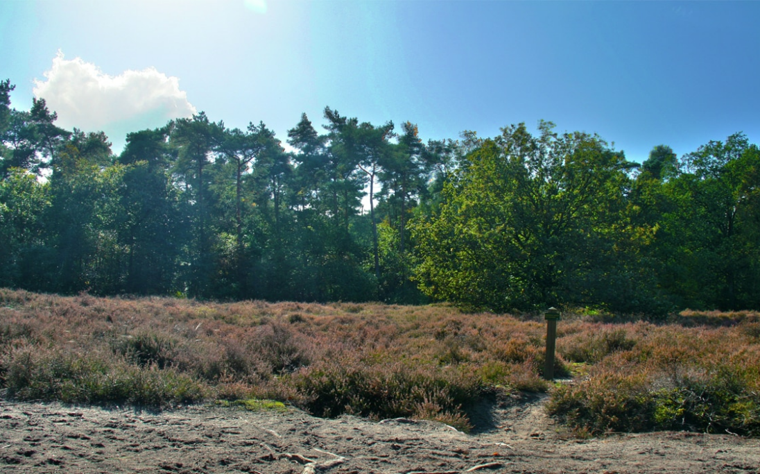 Amerikaanse Blokhut buitenaanzicht