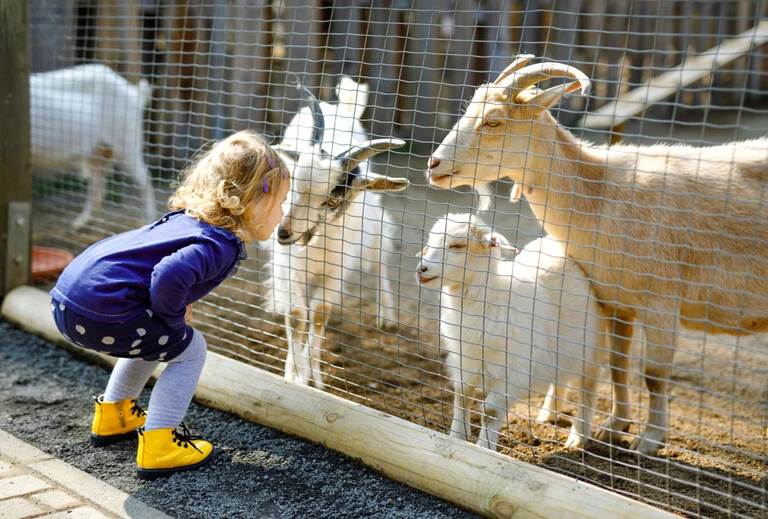 Slapen op de boerderij