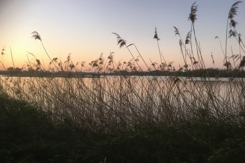 zwemvijvers in Vlaanderen