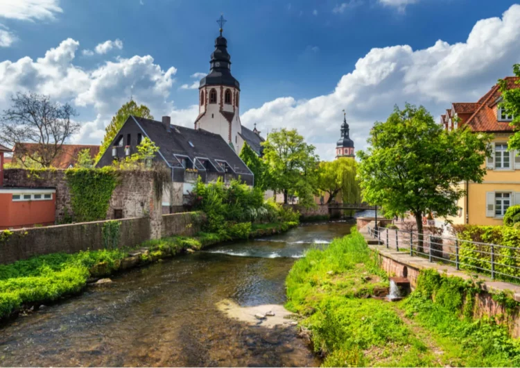 5 redenen om het Zwarte Woud te bezoeken