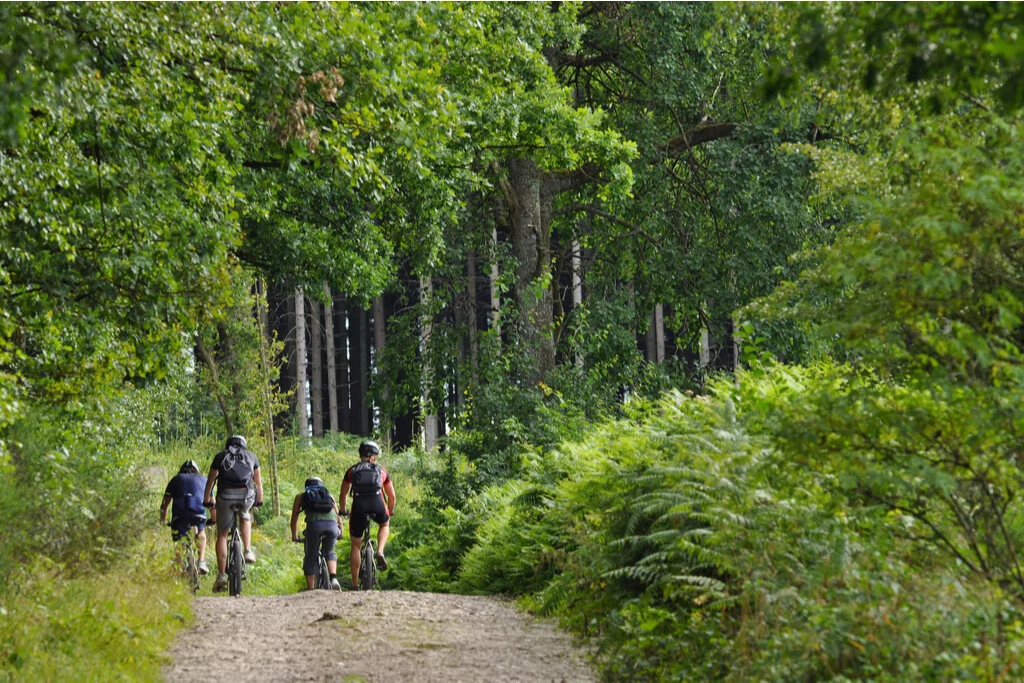 Mountainbiken in Houffalize