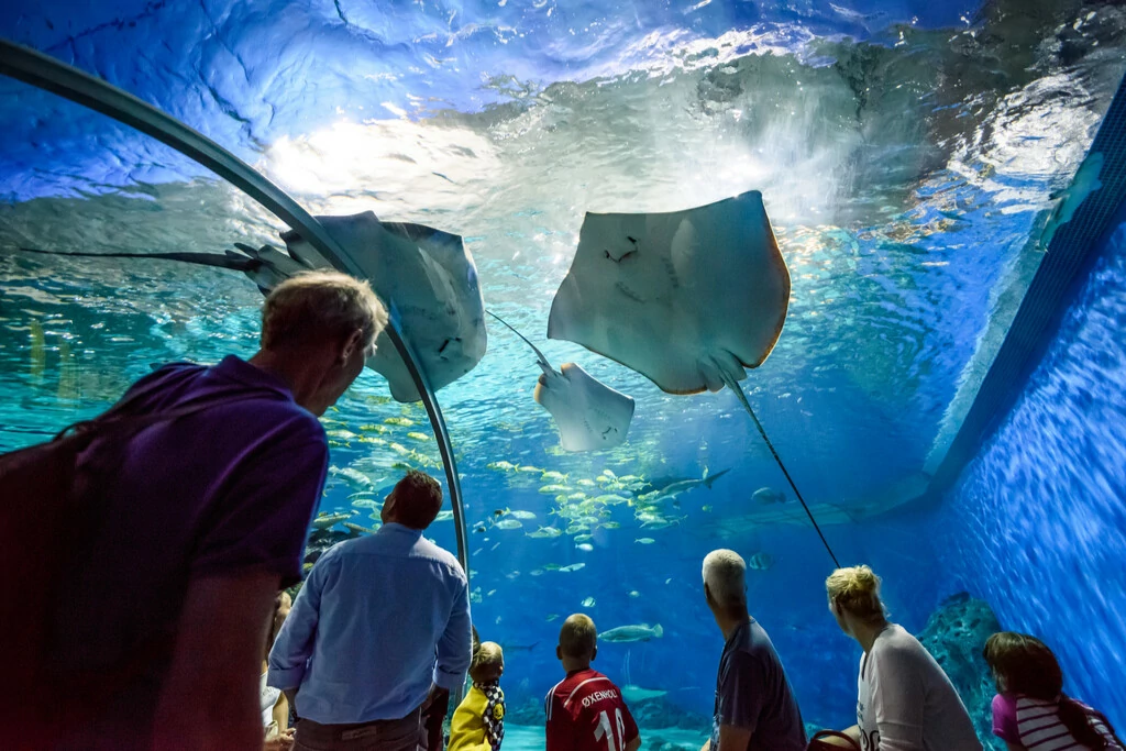 Aquarium Denemarken