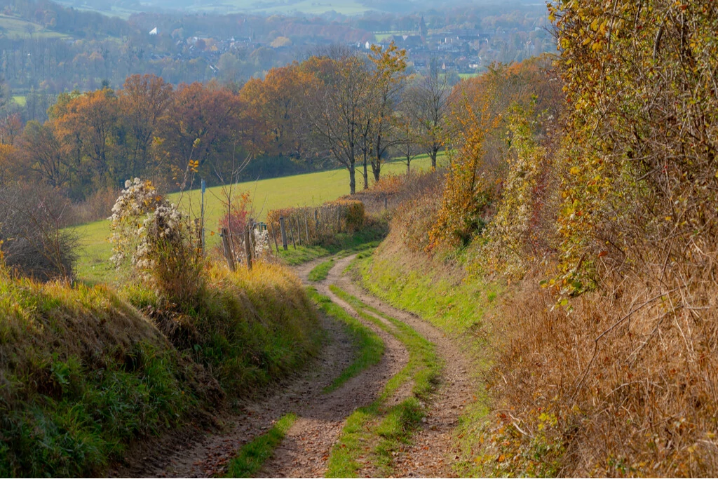 Zuid-Limburgs landschap in herfst