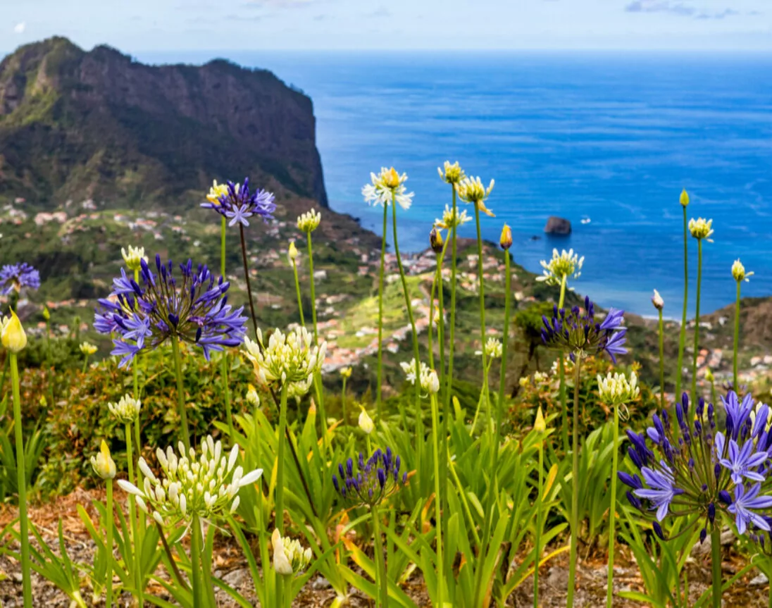 Madeira, het bloemeneiland