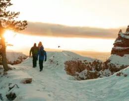 winterwandelaars in de sneeuw