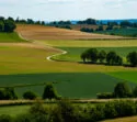 landschap Limburg