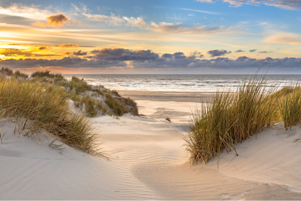 Duinen aan de Noordzeekust