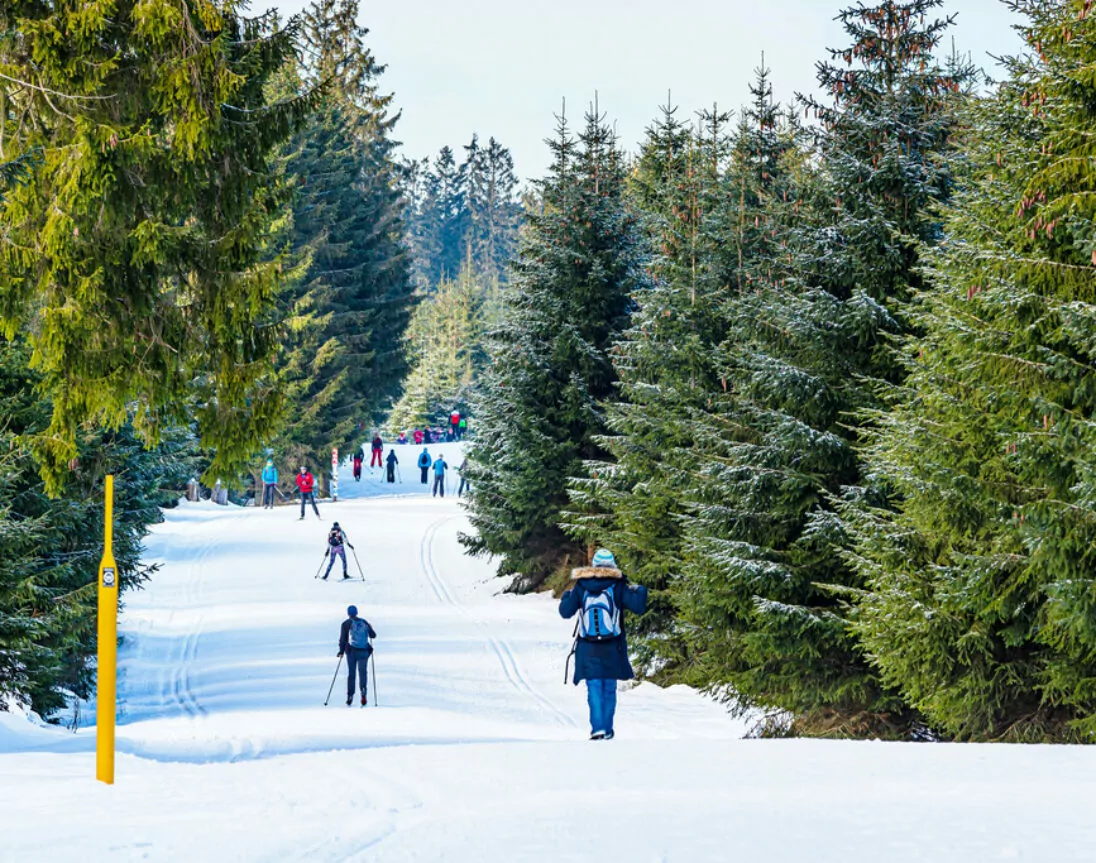 langlaufen in het Sauerland