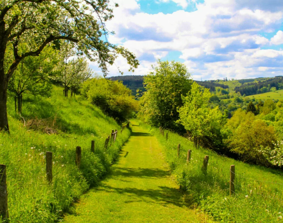 Natuurhuisje Duitsland Eifel