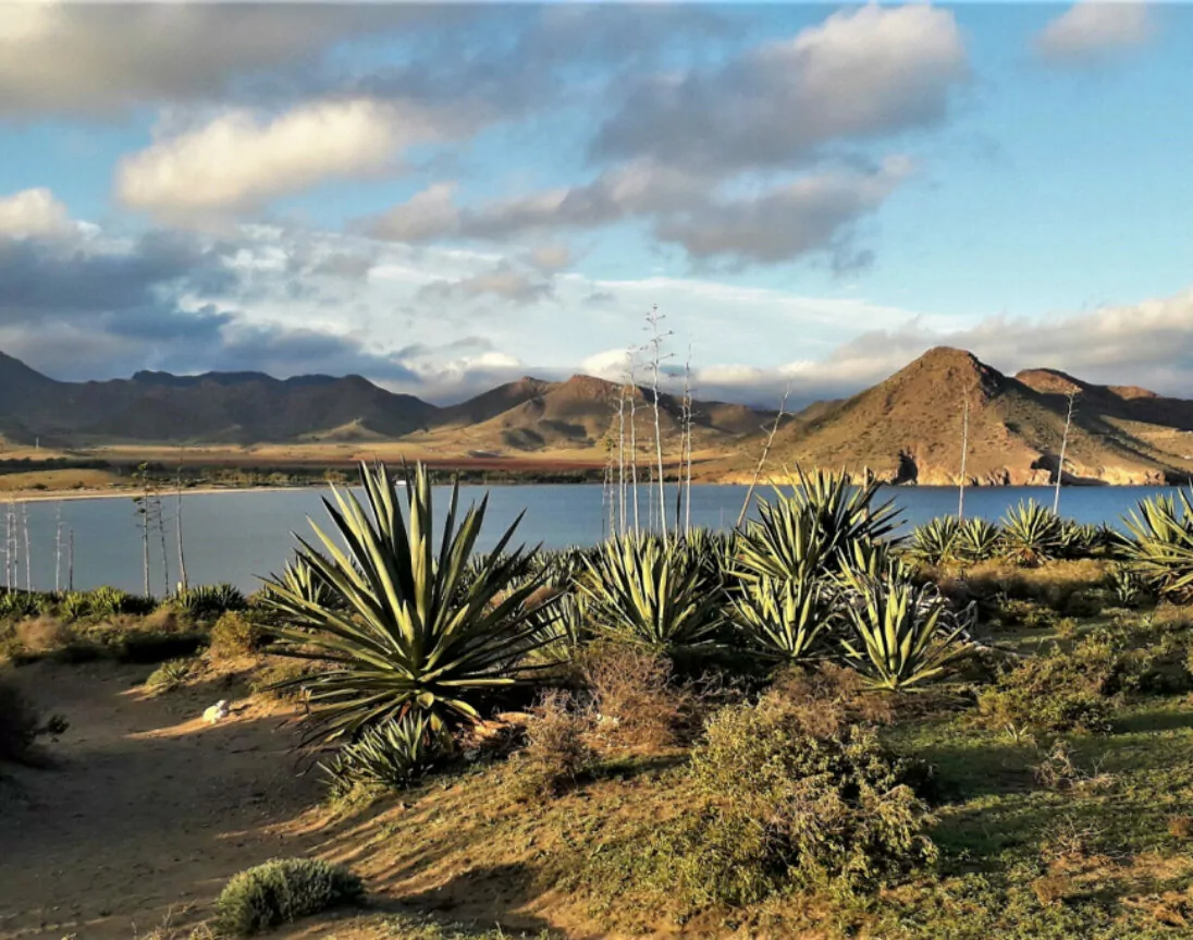 Natuurpark Cabo de Gata