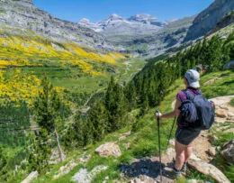 Wandelaarster in Spaanse bergen