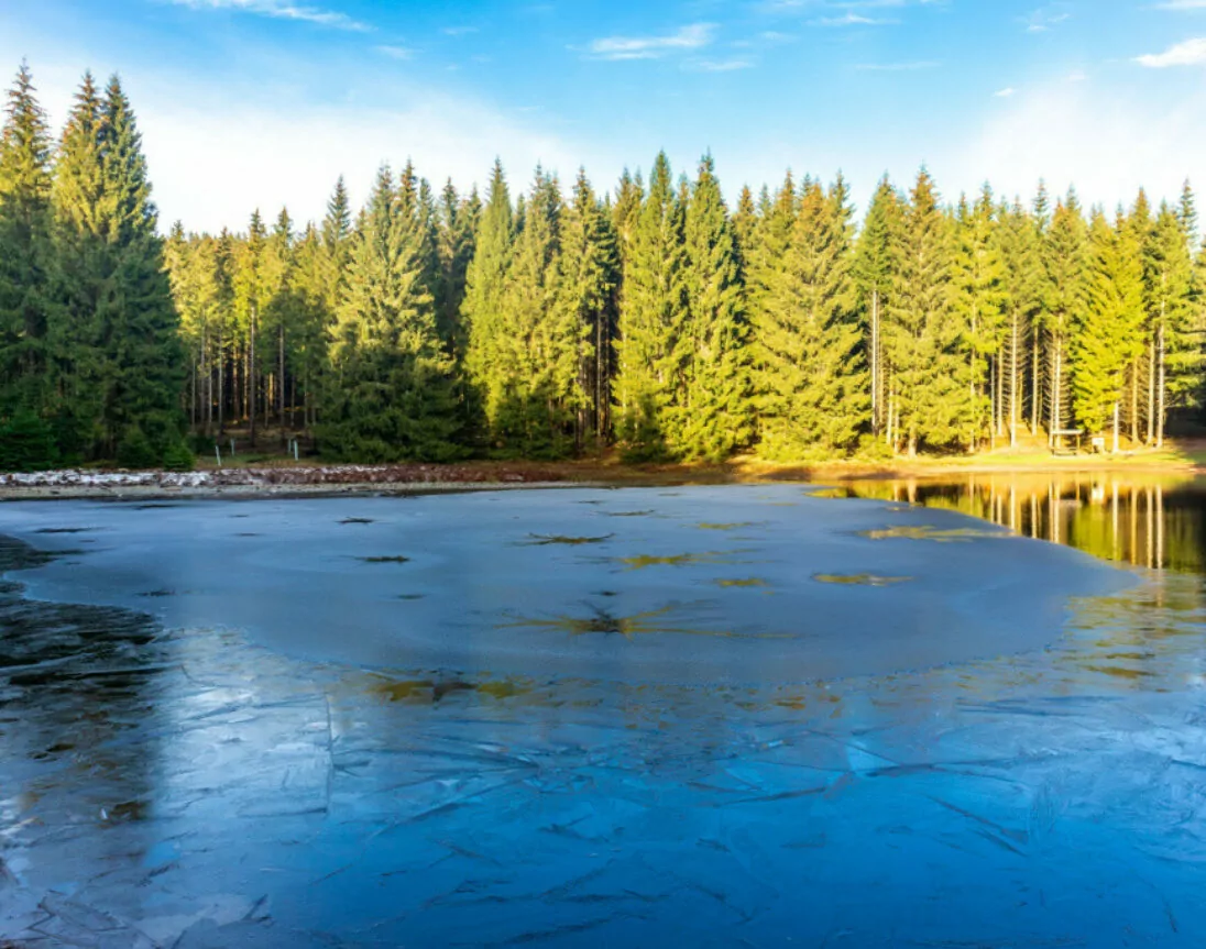 Thüringer Wald bij Oberhof