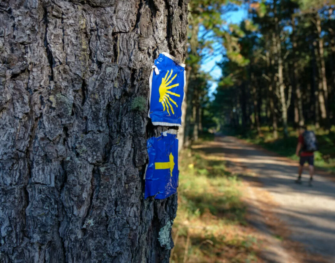 de Portugese Camino de Santiago