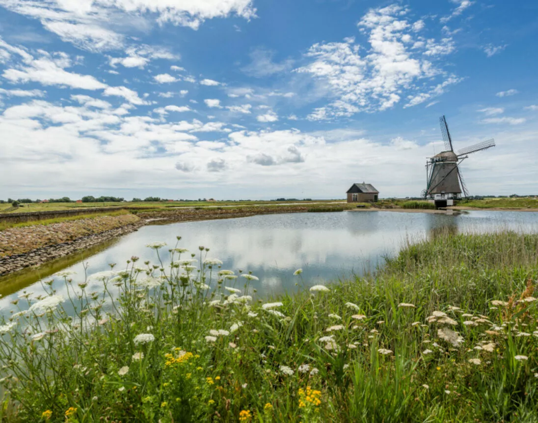 Pittoreske molen op Texel