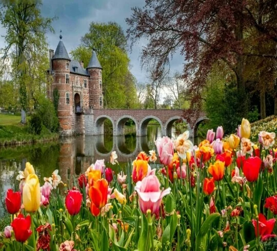 België