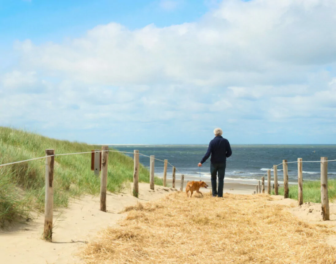 hond met baasje aan het strand