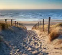 Nederlandse kust duinen