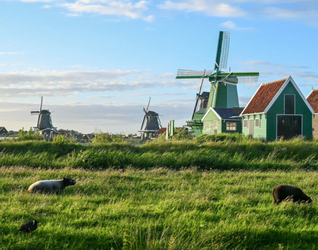 Vakantiehuis in Nederland in de natuur