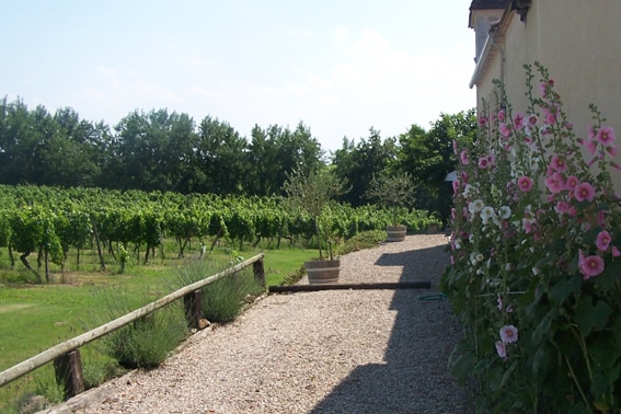 FR-33410-01_Le Pigeonnier de Pezelin_duiventil omringd door druivenranken_Belvilla vakantiehuizen