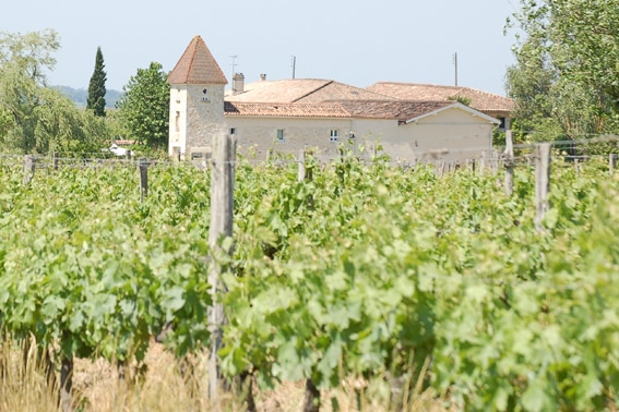 FR-33410-01_Le Pigeonnier de Pezelin_duiventil tussen de wijngaarden rond Bordeaux_Belvilla vakantiehuizen