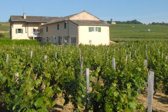 FR-71680-02_Le Gîte des Blancs_vakantie op een wijnlandgoed_Belvilla vakantiehuizen