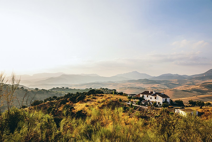 ES-29160-02_Cortijo Cabrera_wijnboerderij_Spanje_Andalusië_Malaga_Belvilla vakantiehuizen