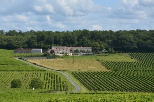 Postrelais_Charente_wijngaarden_bossen_Belvilla vakantiehuizen