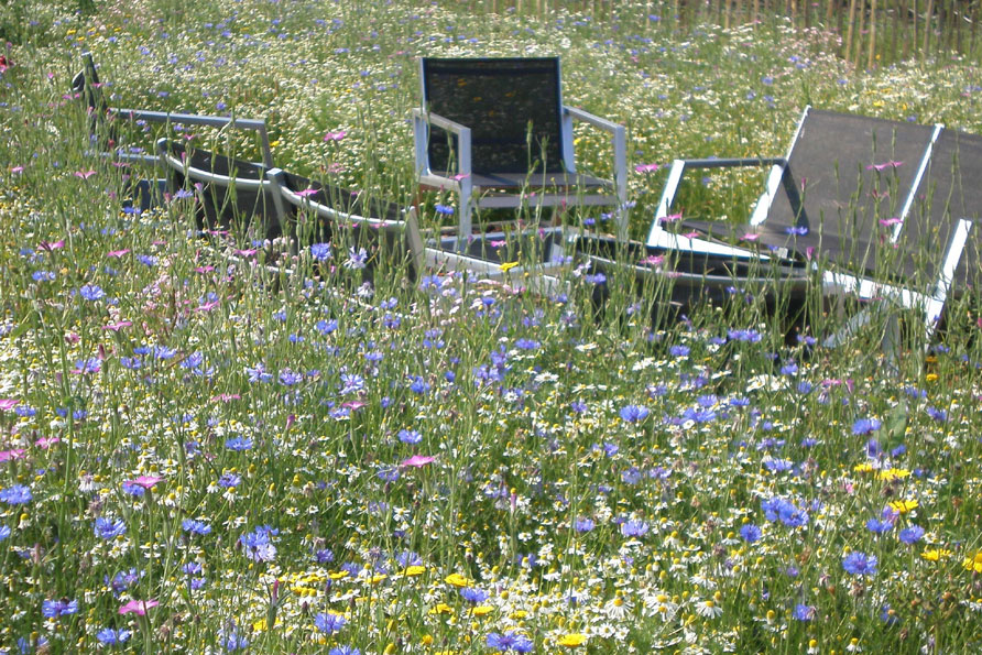 vakantiehuis De Pluktuin Haspengouw Limburg België bloemen workshop expertcation escape to enrich reistrend 2015 Belvilla vakantiehuizen