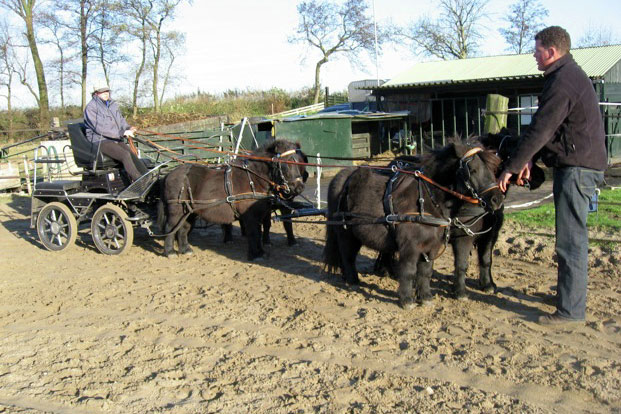 vakantiehuis The Four Seasons Eifel Duitsland workshop expertcation escape to enricht reistrend 2015 koets Belvilla vakantiehuizen