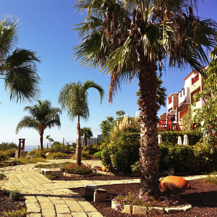 Finca Vista Bonita Tenerife Canarische Eilanden Spanje workshop expertcation escape to enrich reistrend 2015 Belvilla vakantiehuizen