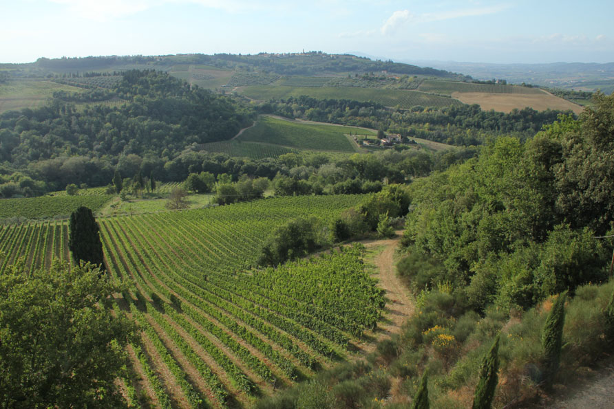 wijn Chianti Toscane Castelvecchio Belvilla vakantiehuizen